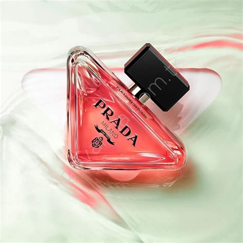 prada paradoxe fiyat|prada paradoxe preis.